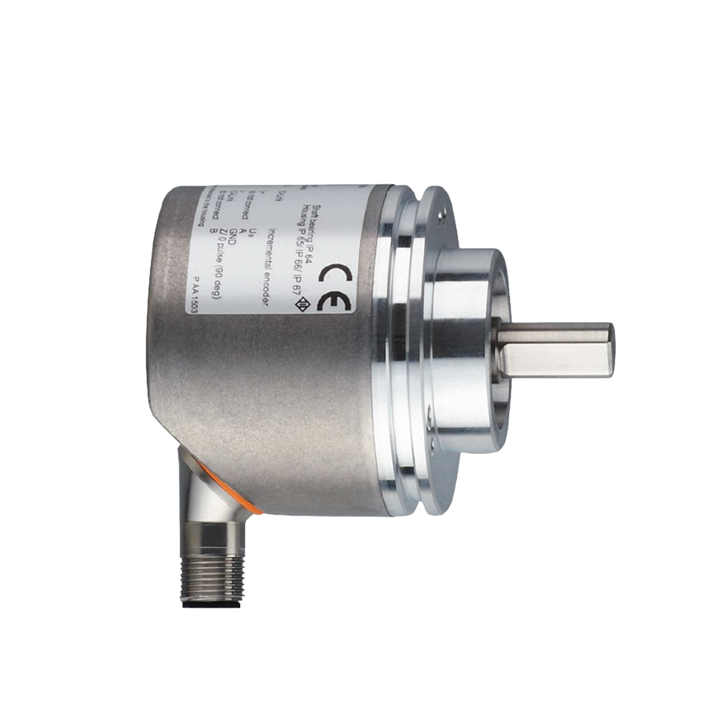 RV3100 IFM