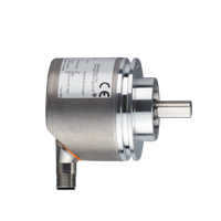 RV3100 IFM