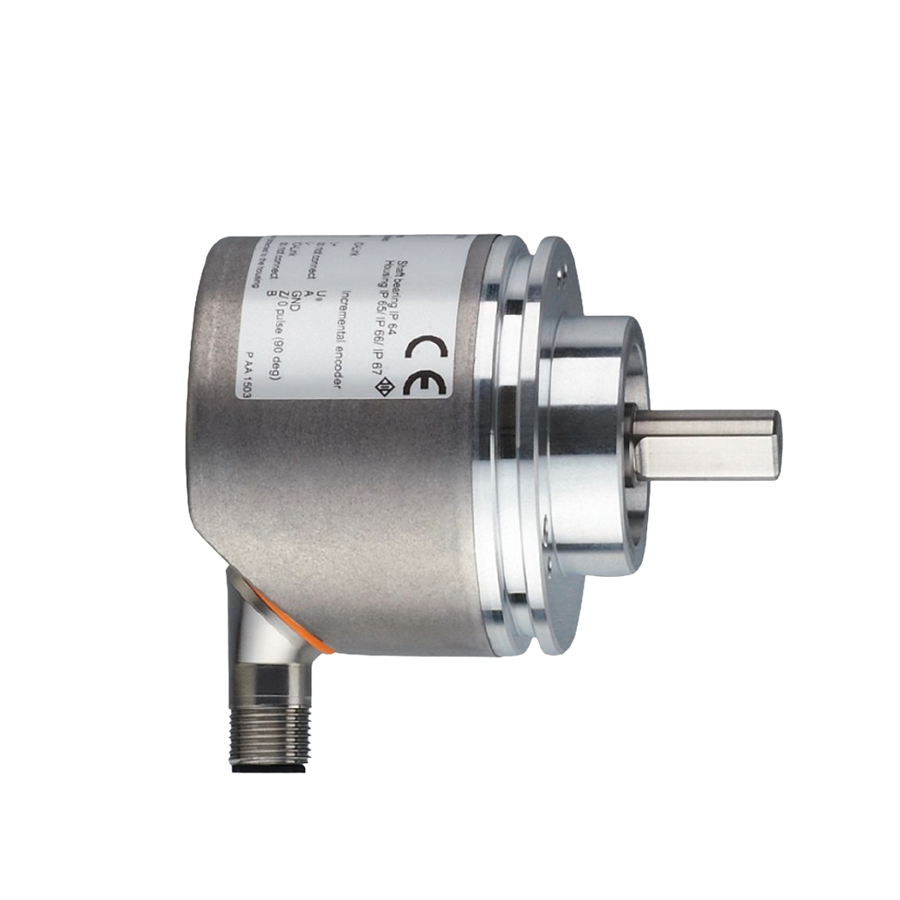RV3100 IFM