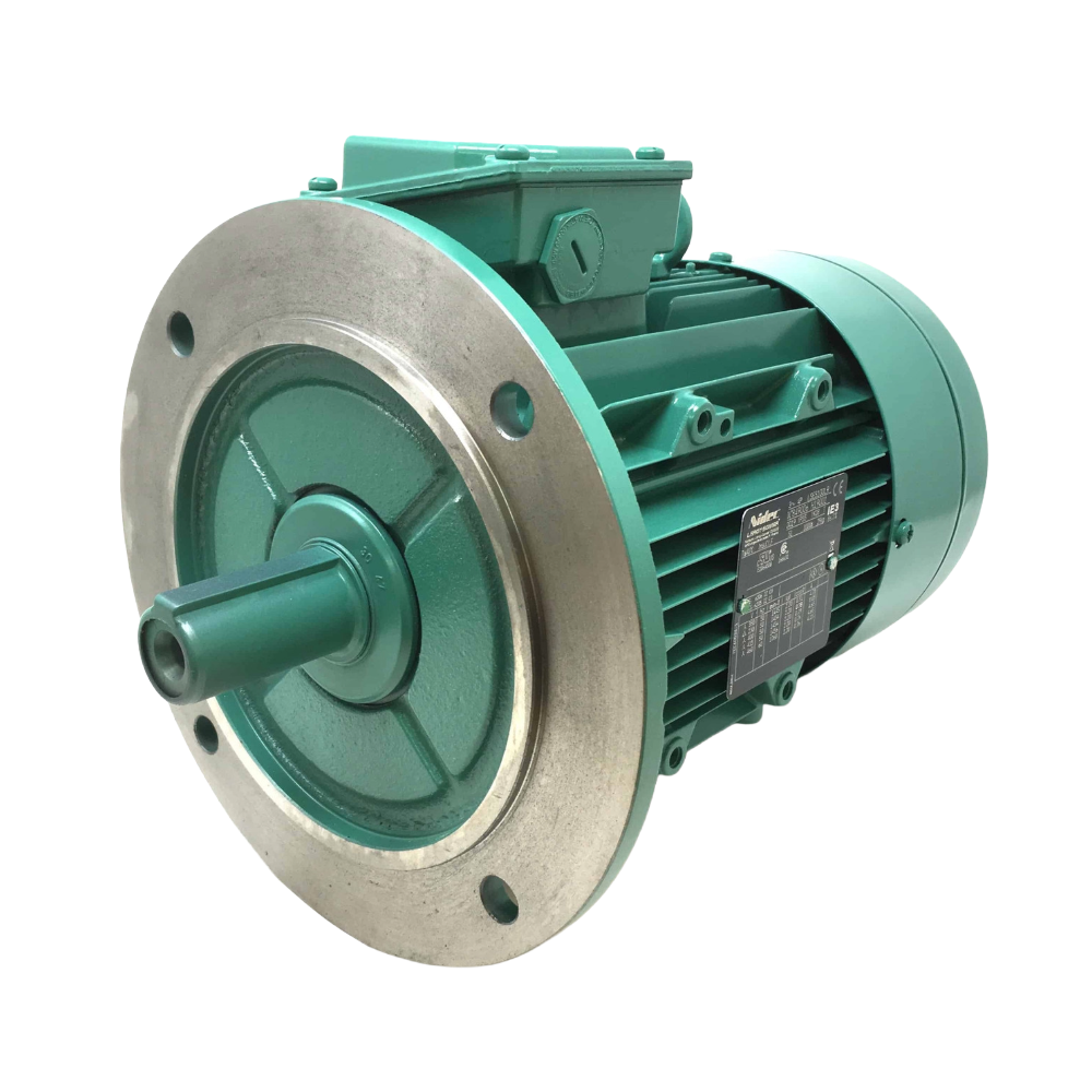 LSES100LR Leroy Somer