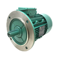 LSES100LR Leroy Somer