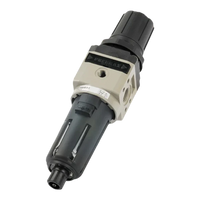 17304B.B.D.S Pneumax