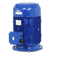 PLM132B14S2/3110 E3 Lowara