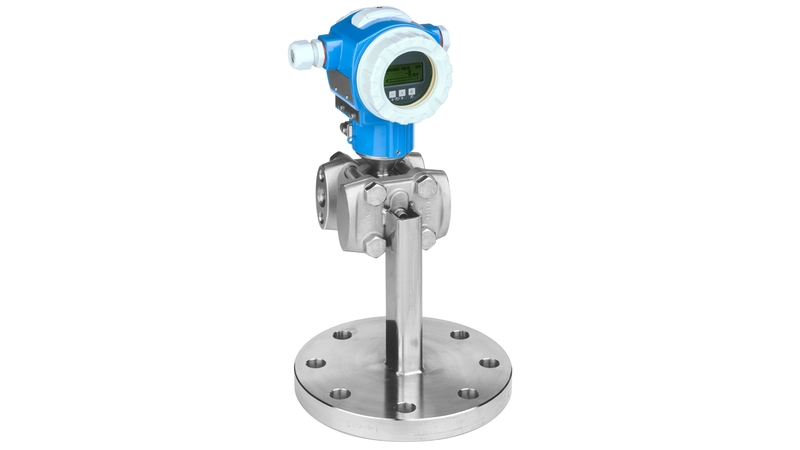 71386147 Endress + Hauser - V2.30
