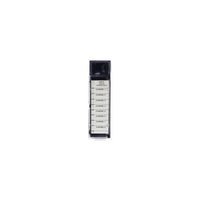 IC694ALG221 GE Fanuc